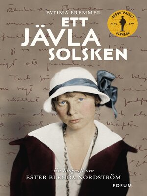 cover image of Ett jävla solsken